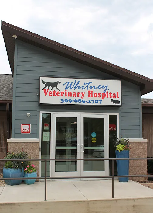 Whitney Veterinary Hospital 2