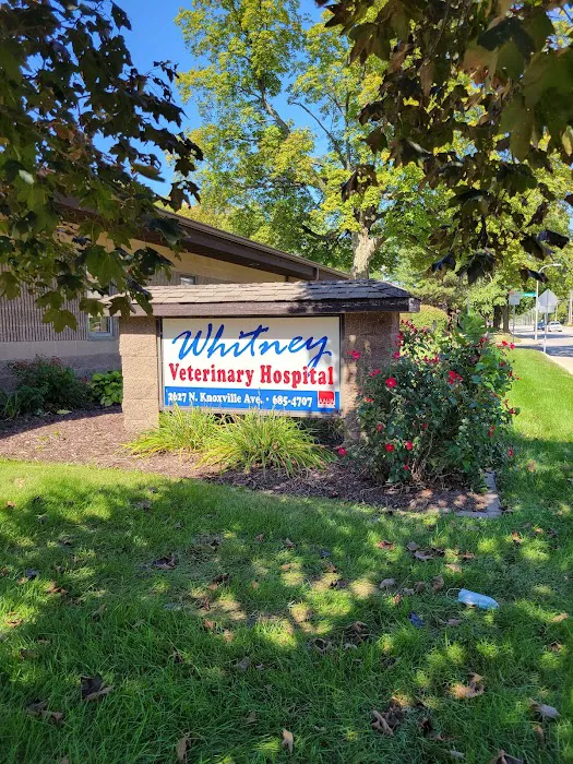 Whitney Veterinary Hospital 5