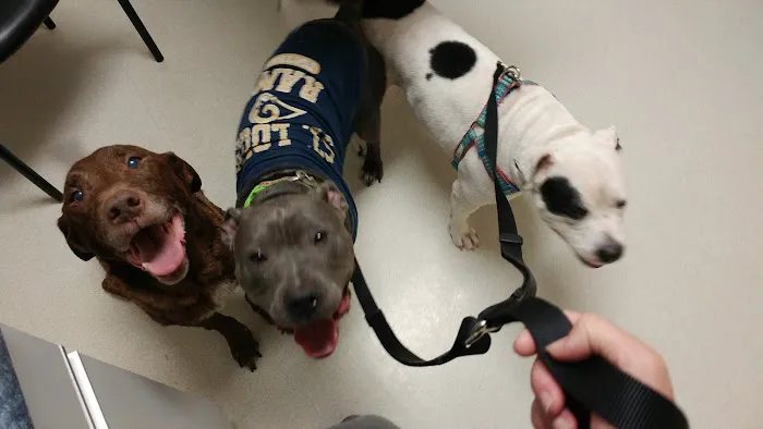 Mt. Hawley Animal Clinic 4