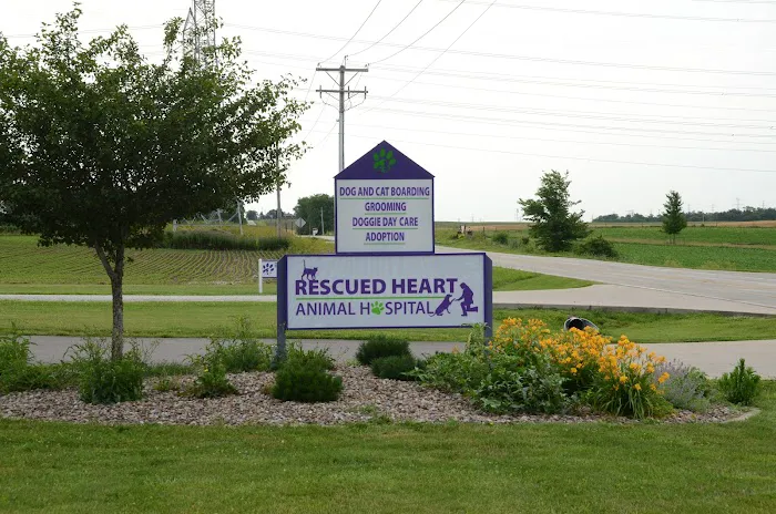 Rescued Heart Animal Hospital 7
