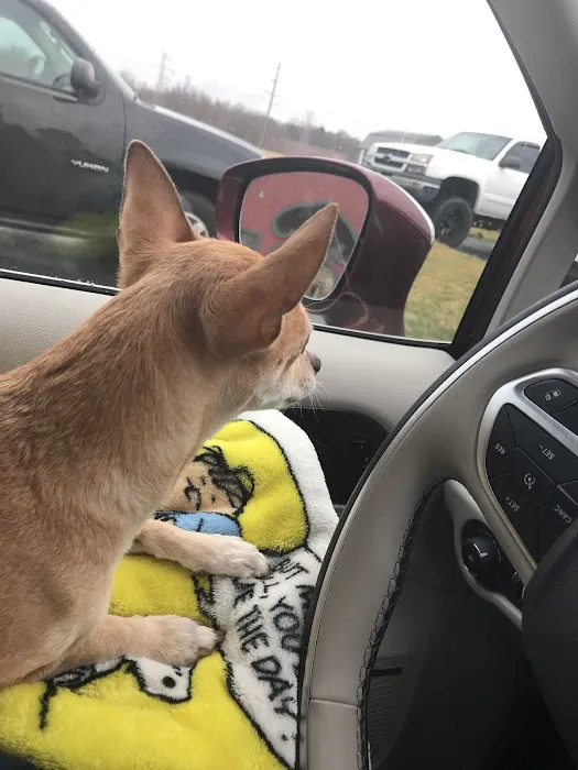 Rescued Heart Animal Hospital 6