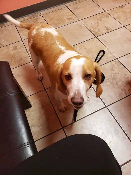 Rescued Heart Animal Hospital 9