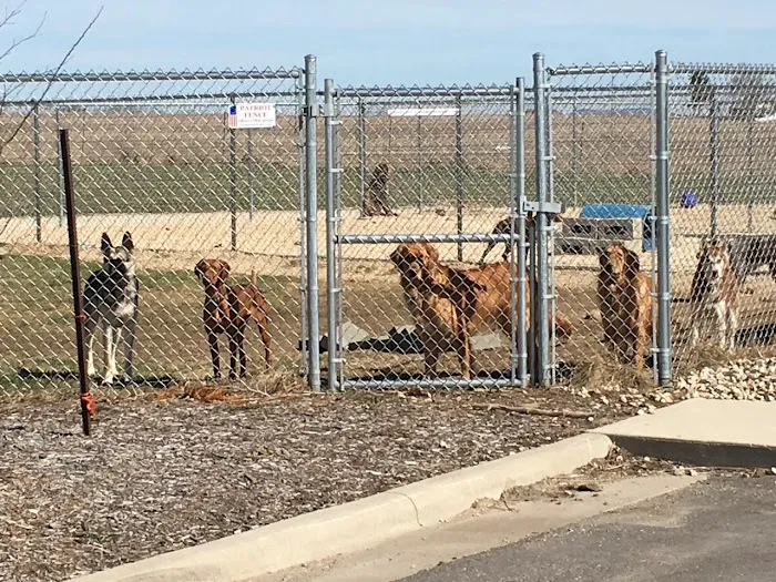 Lancaster Veterinary Clinic 12