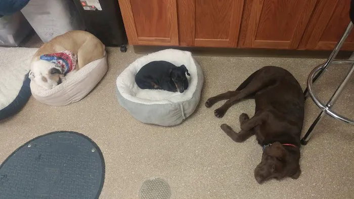 Lancaster Veterinary Clinic 12