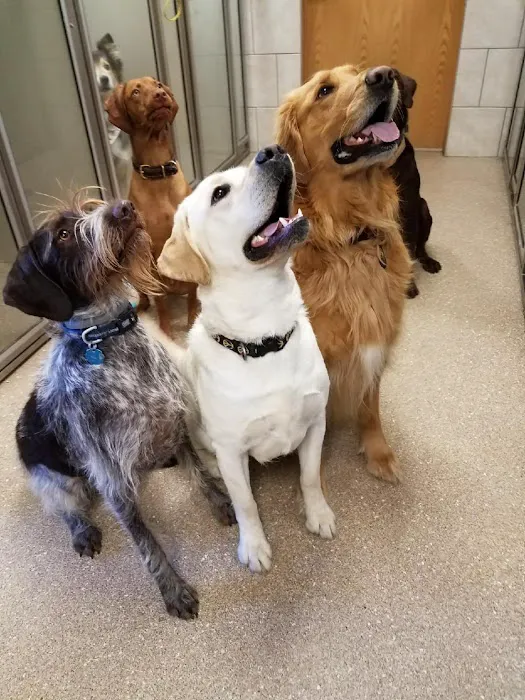 Lancaster Veterinary Clinic 12
