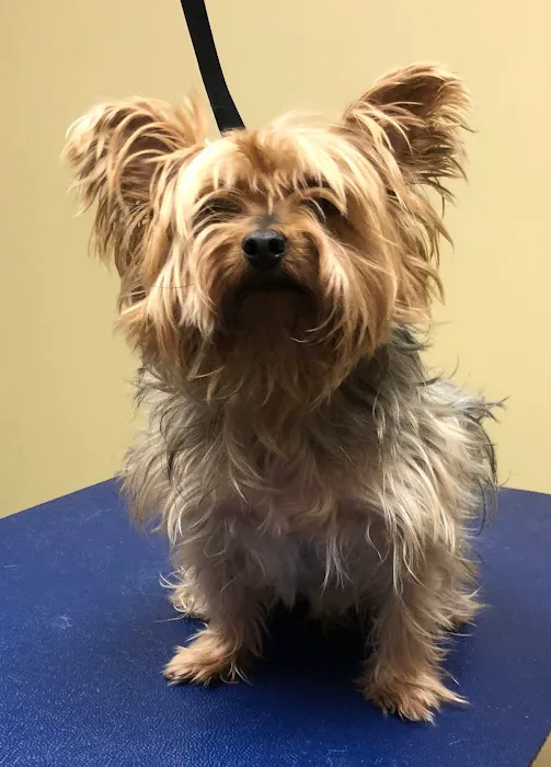 Lancaster Veterinary Clinic 12