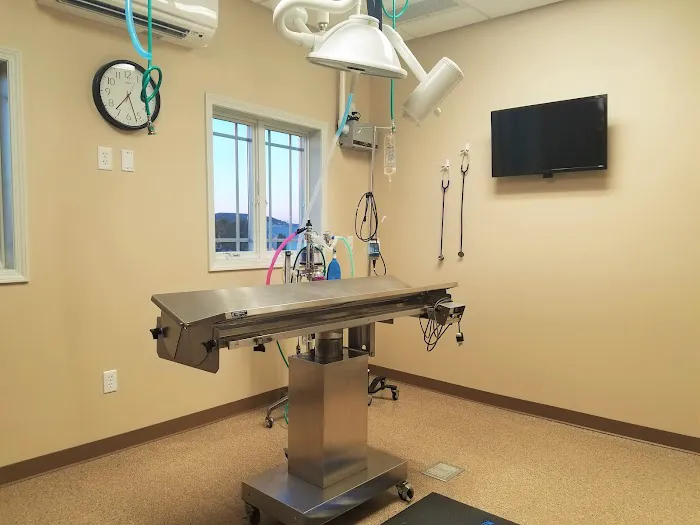 Family Pet Hospital LLC 7