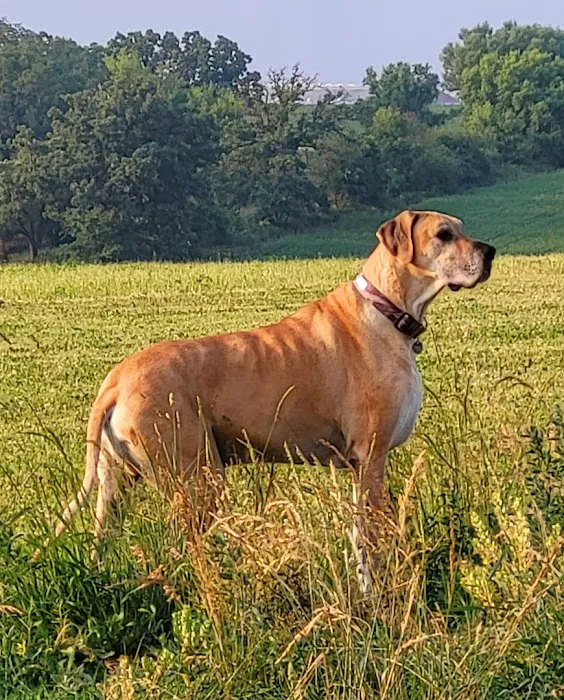 Family Pet Hospital LLC 2