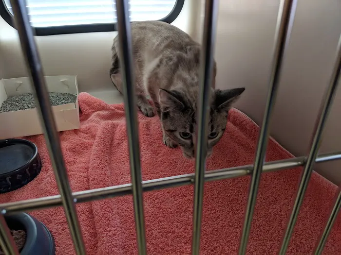 Northside Veterinary Clinic 12
