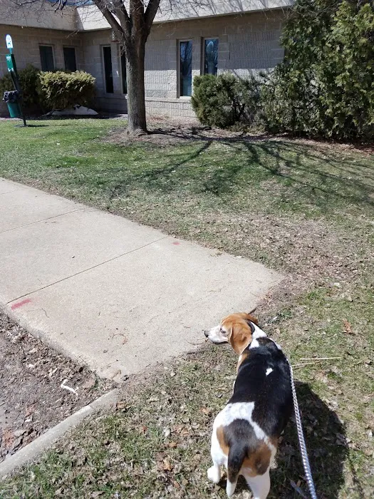 Morganside Veterinary Clinic 12