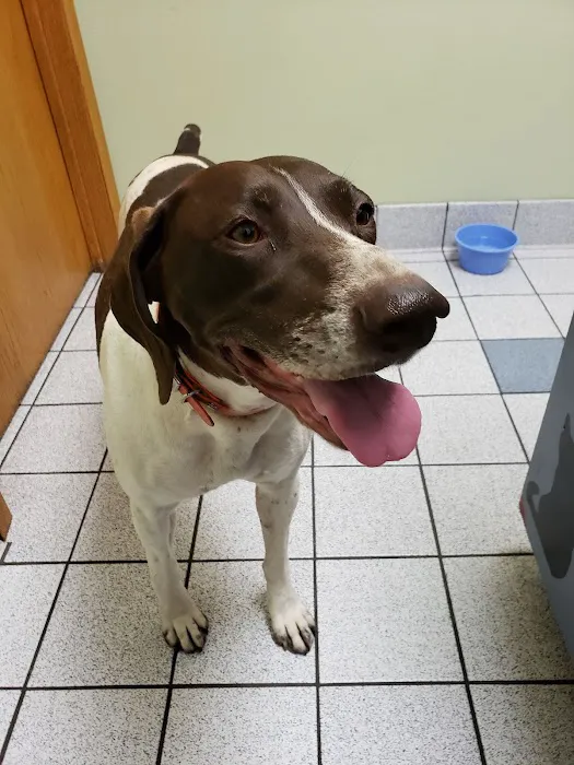 Morganside Veterinary Clinic 12
