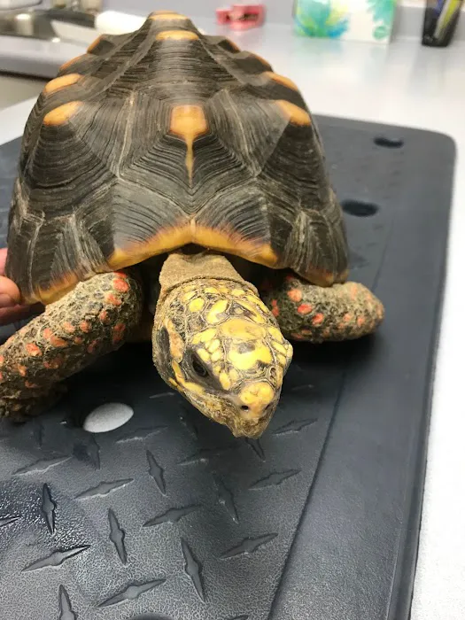 Sparta Small Animal Veterinary Clinic, S.C. 12
