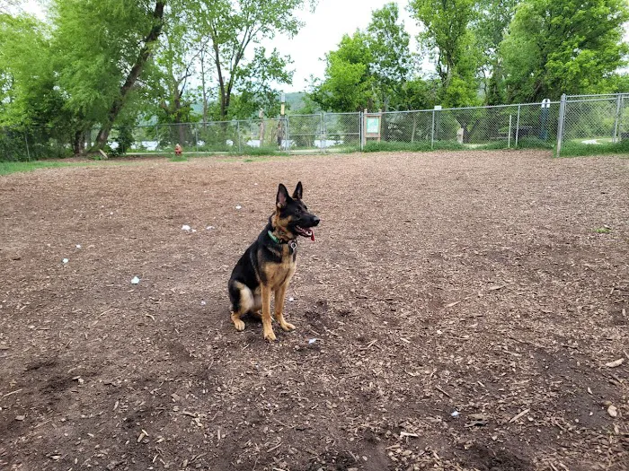 Animal Tracks Veterinary Service, LLC 12