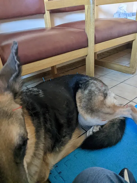 Ridge to Rivers Animal Clinic, LLC 7