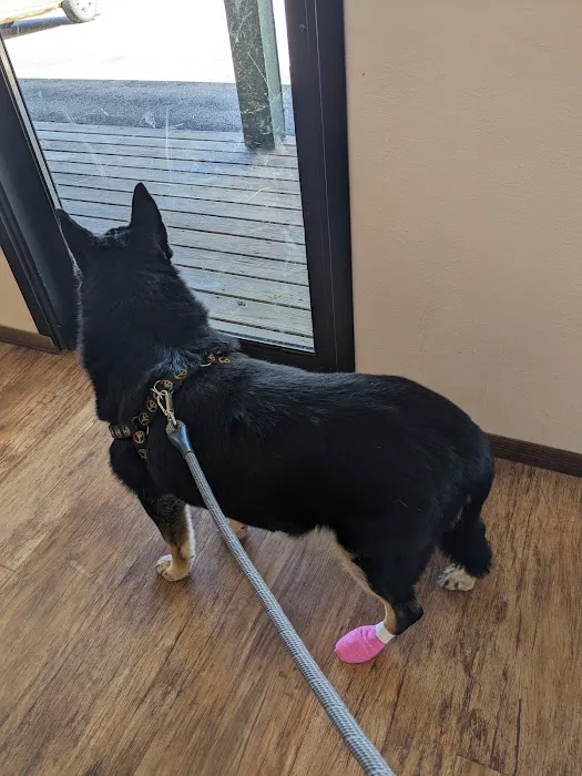 Grimm Tails Veterinary 12