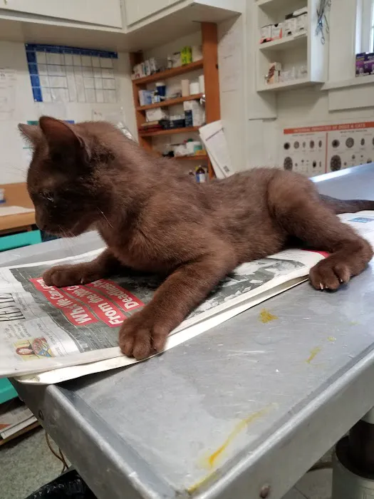 Piper Veterinary Clinic 10
