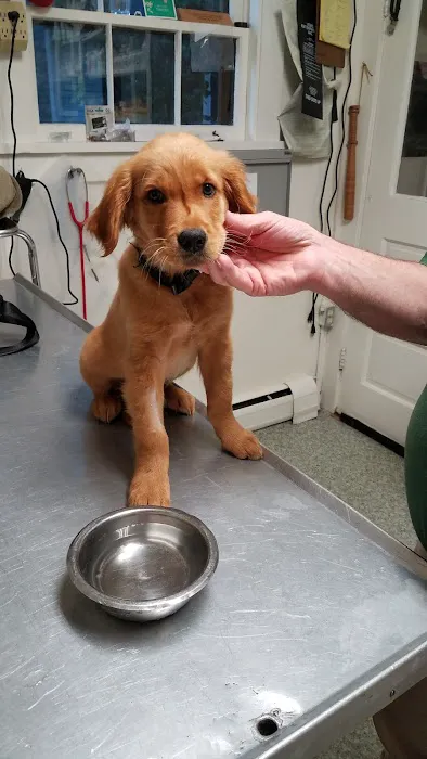 Piper Veterinary Clinic 4