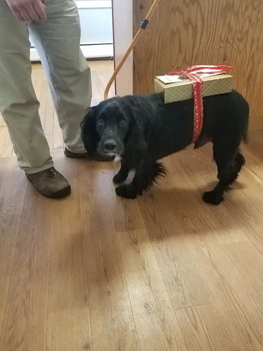 Piper Veterinary Clinic 9