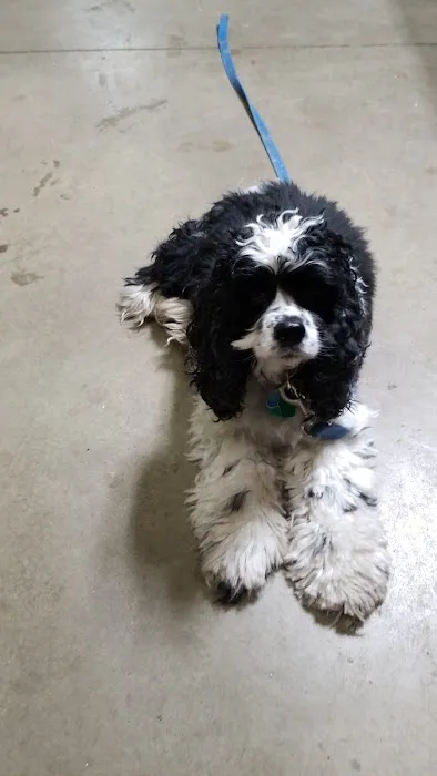 Waupaca Small Animal Hospital 4