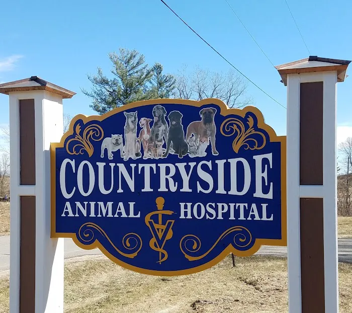 Countryside Animal Hospital 2