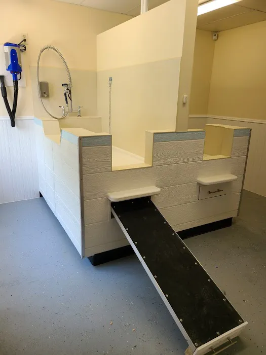 Countryside Animal Hospital 10