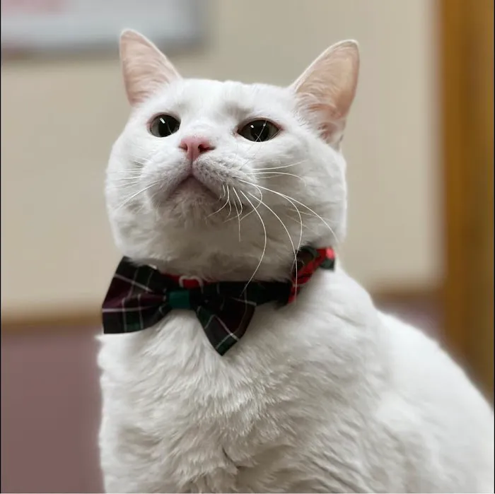 Countryside Animal Hospital 9