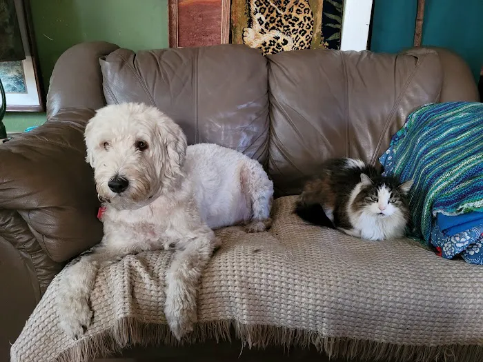 Amherst Veterinary Hospital 10