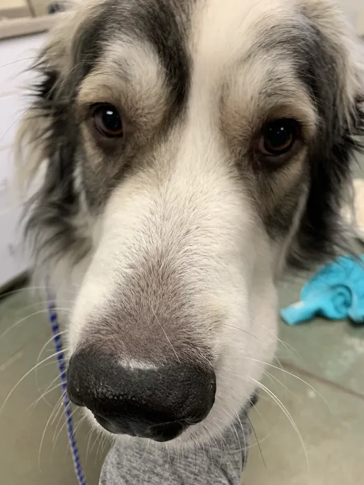 Woodhaven Animal Health 9