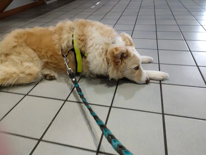 Oakview Veterinary Medical Center 7