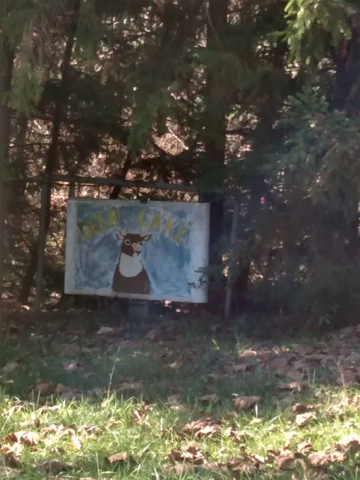Deer Lake Animal Clinic 1