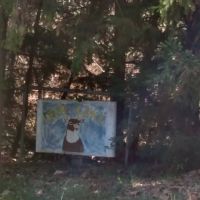 Deer Lake Animal Clinic ico