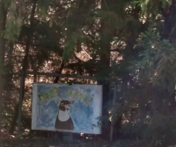 Deer Lake Animal Clinic
