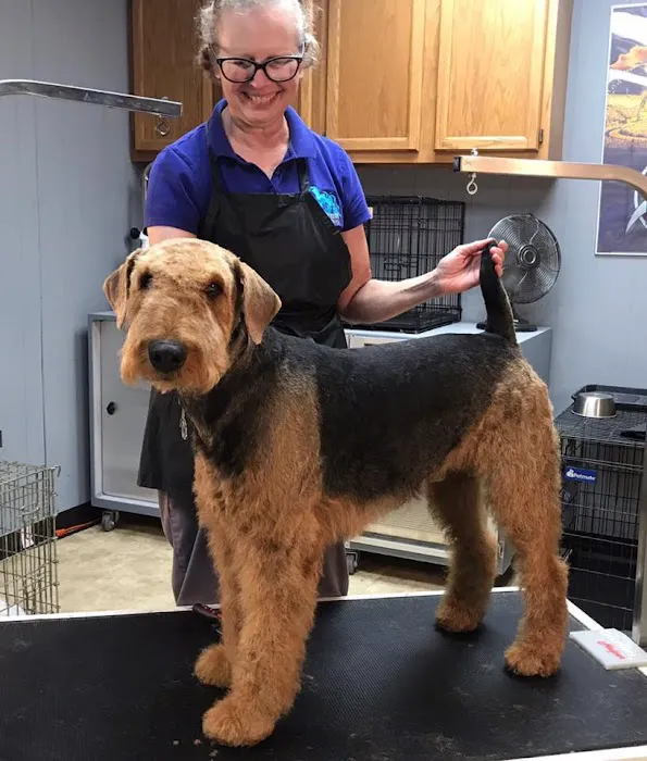 Complete Care Animal Hospital 4