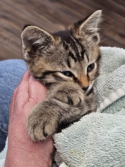 Complete Care Animal Hospital 3