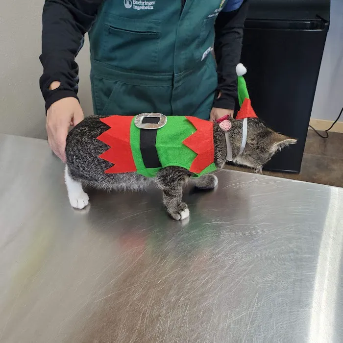 Hay River Animal Hospital 12