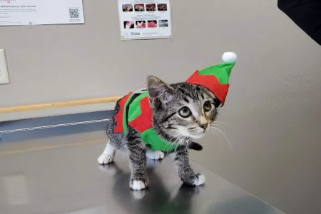 Hay River Animal Hospital