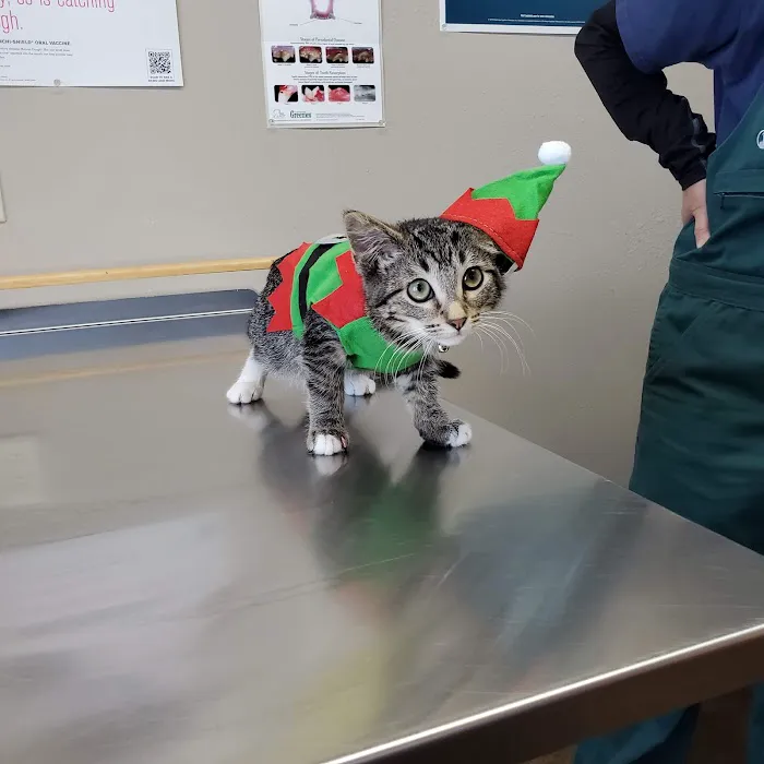 Hay River Animal Hospital 12