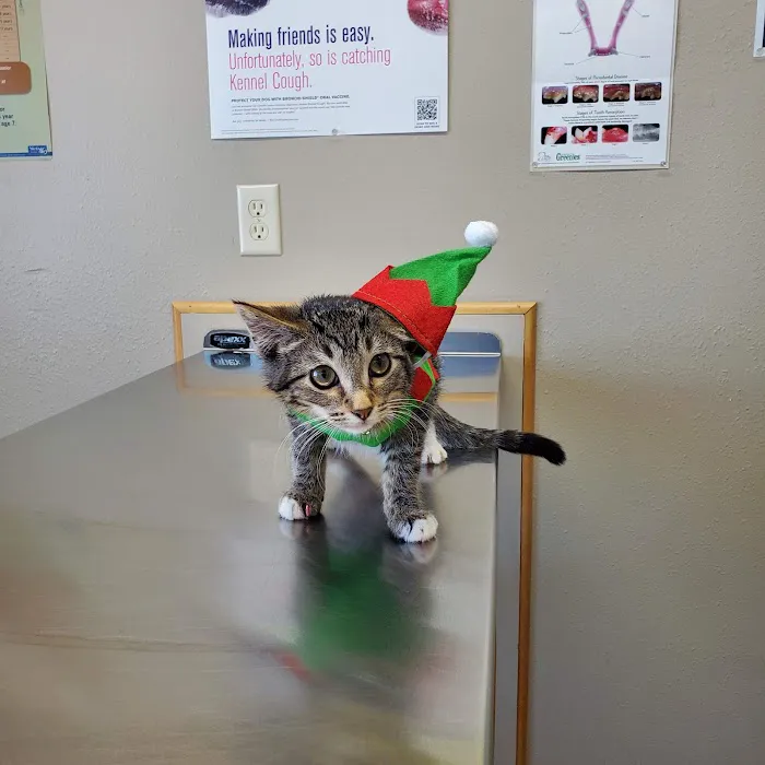 Hay River Animal Hospital 12