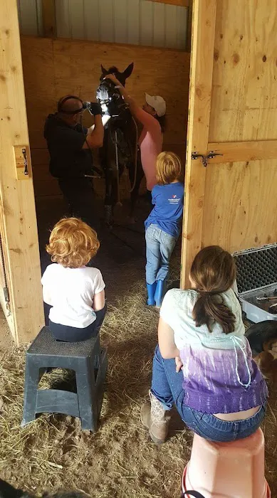 Triple Oaks Equine LLC 12