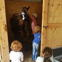 Triple Oaks Equine LLC ico