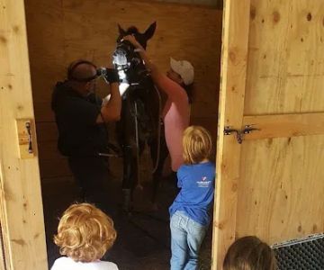 Triple Oaks Equine LLC
