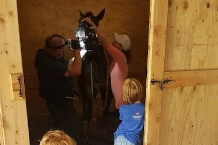Triple Oaks Equine LLC