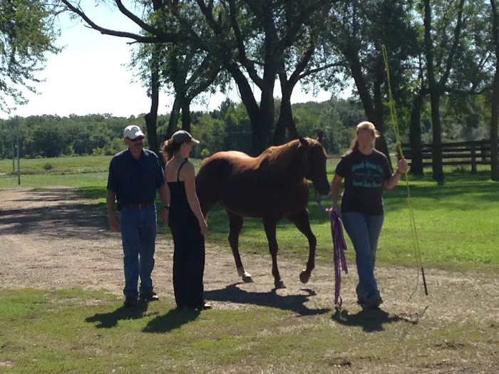 Triple Oaks Equine LLC 12