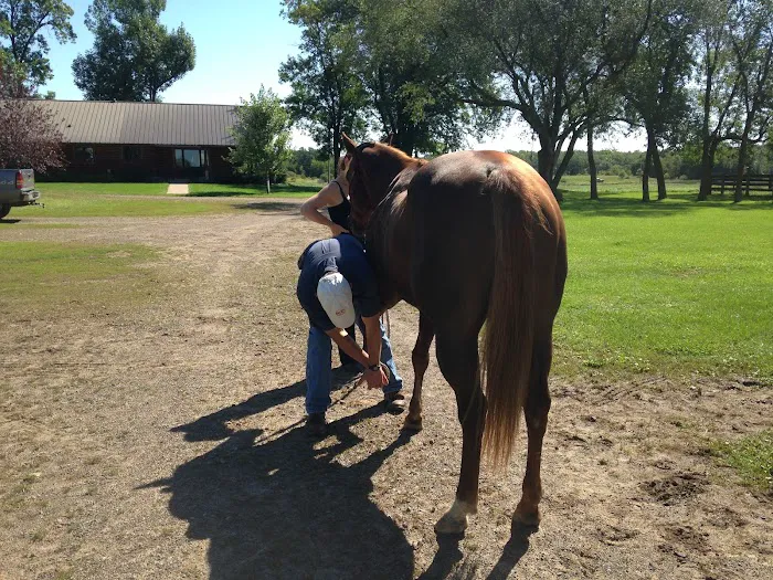 Triple Oaks Equine LLC 12
