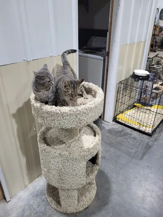 Princeton Pet Hospital 9