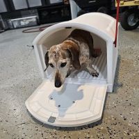 Princeton Pet Hospital ico