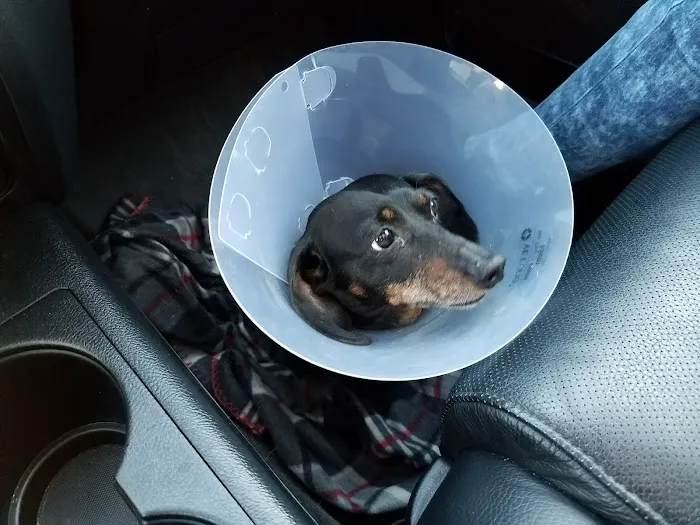 Princeton Pet Hospital 10