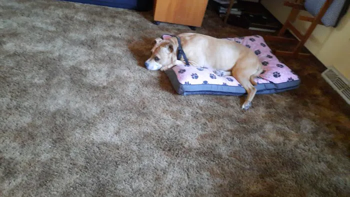 Princeton Pet Hospital 2