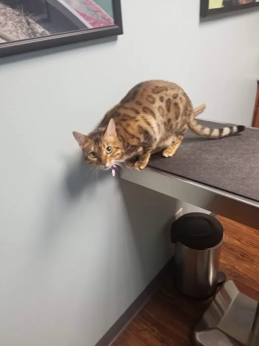Barrington Oaks North Animal Clinic 2