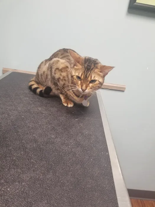 Barrington Oaks North Animal Clinic 1